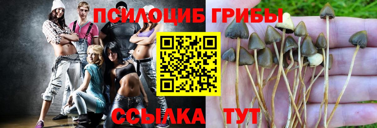 Галлюциногенные грибы мицелий  Вход с VPN  Псилоцибиновые грибы MAGIC MUSHROOMS  Учалы 